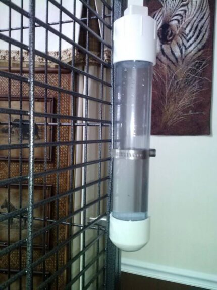 Primate Water Bottle (Spider Monkey Adoption USA)/ ,Prime Monkey Hub