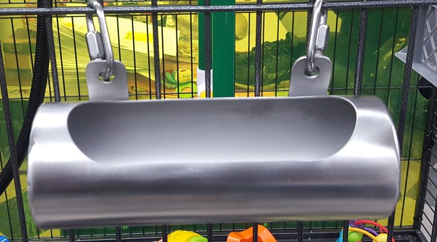 spider Monkey adoption in USA spider Monkey adoption in USA